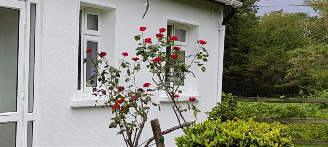 Lakeside House Oughterard Kültér fotó